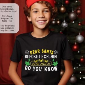 Get Ready for the Holidays with Our Youth Funny Santa Shirt