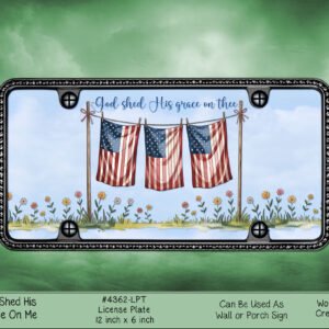 Ornate-framed sign showing American flags on a clothesline and the words 'God shed His grace on me'.