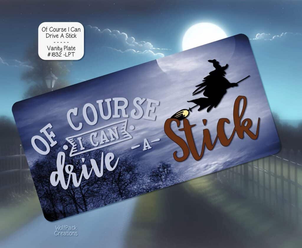 Drive a Stick License Plate
