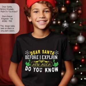 Funny Santa Shirt