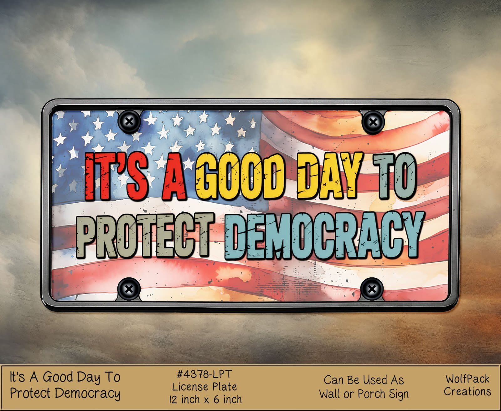 Protect Democracy License Plate